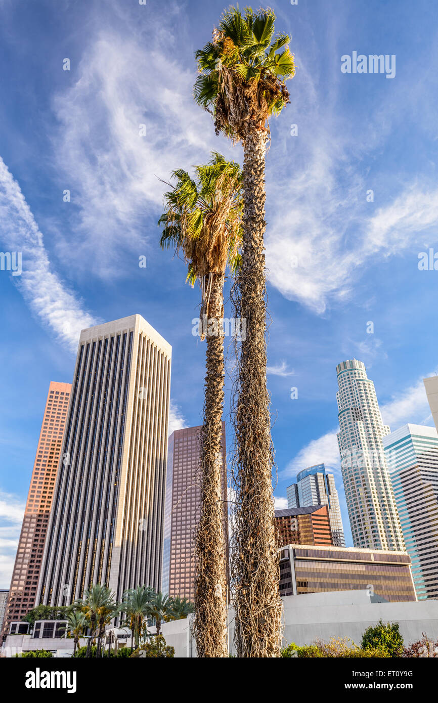 Los Angeles, Californie, USA de palmiers et de bâtiments. Banque D'Images