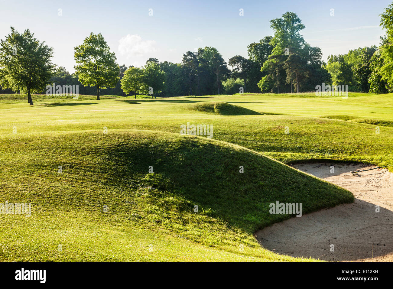 Un parcours de golf en début de matinée le soleil. Banque D'Images