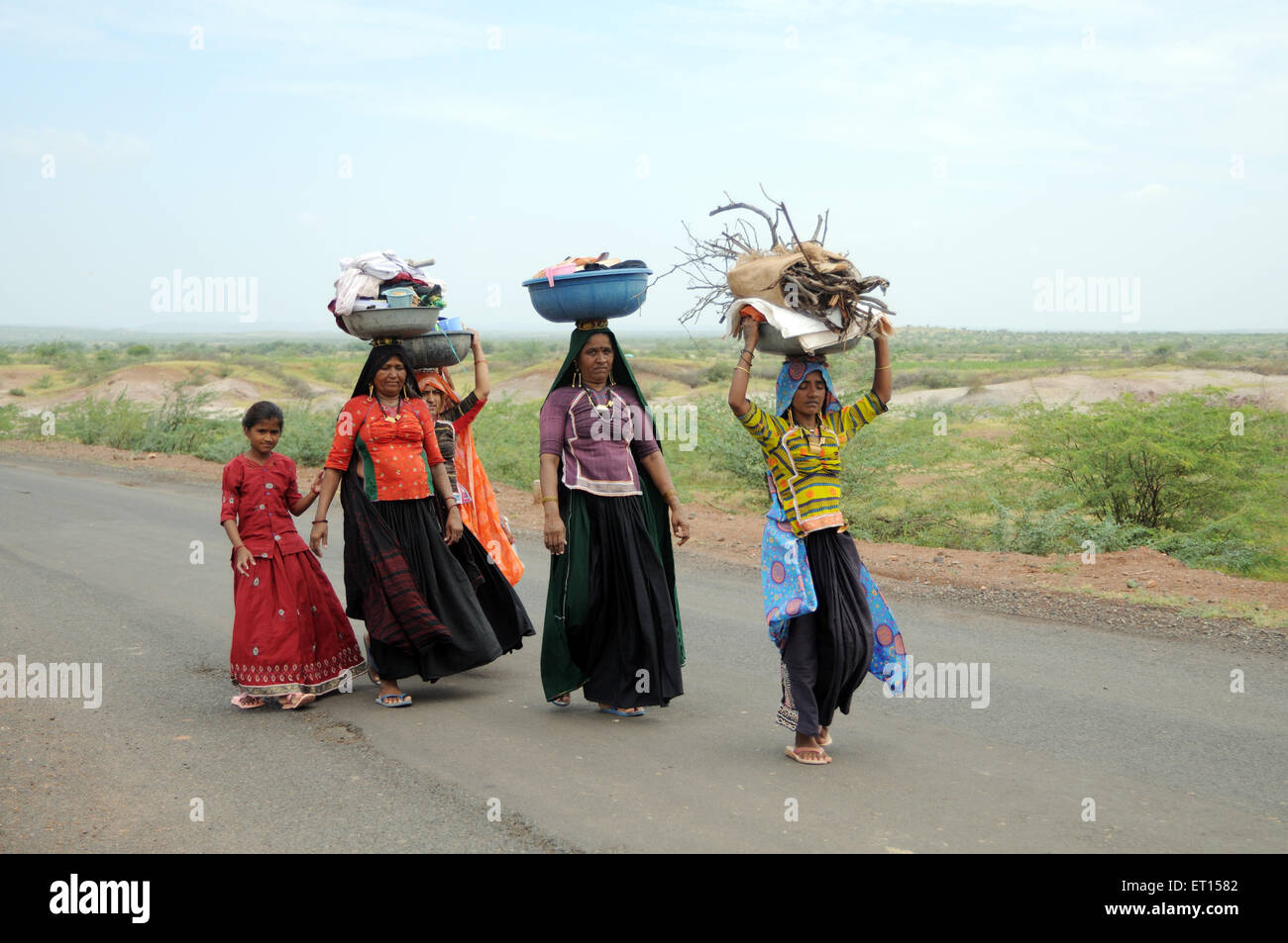 Les femmes tribales rurales en costume traditionnel transporter le bois ; ; ; Kutch Mandvi Gujarat Inde ; Banque D'Images