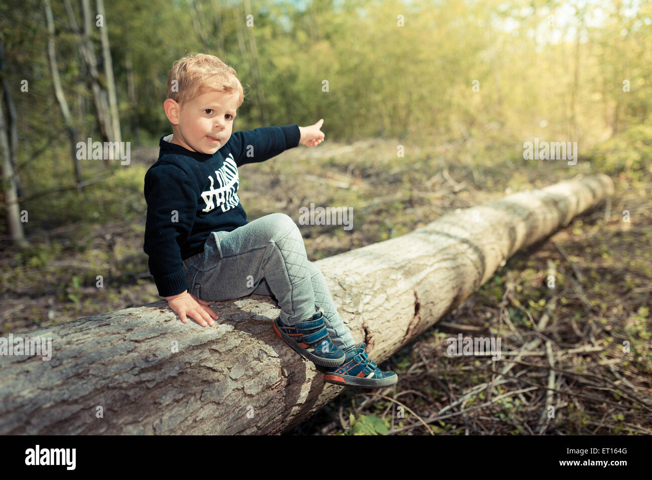 Petit garçon enfant couché sur un arbre coupé explorer la nature Banque D'Images