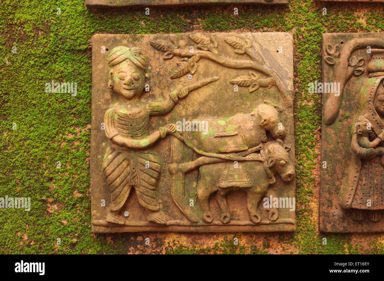 Sculpture en terre cuite des champs de labour avec des taureaux, Inde Banque D'Images