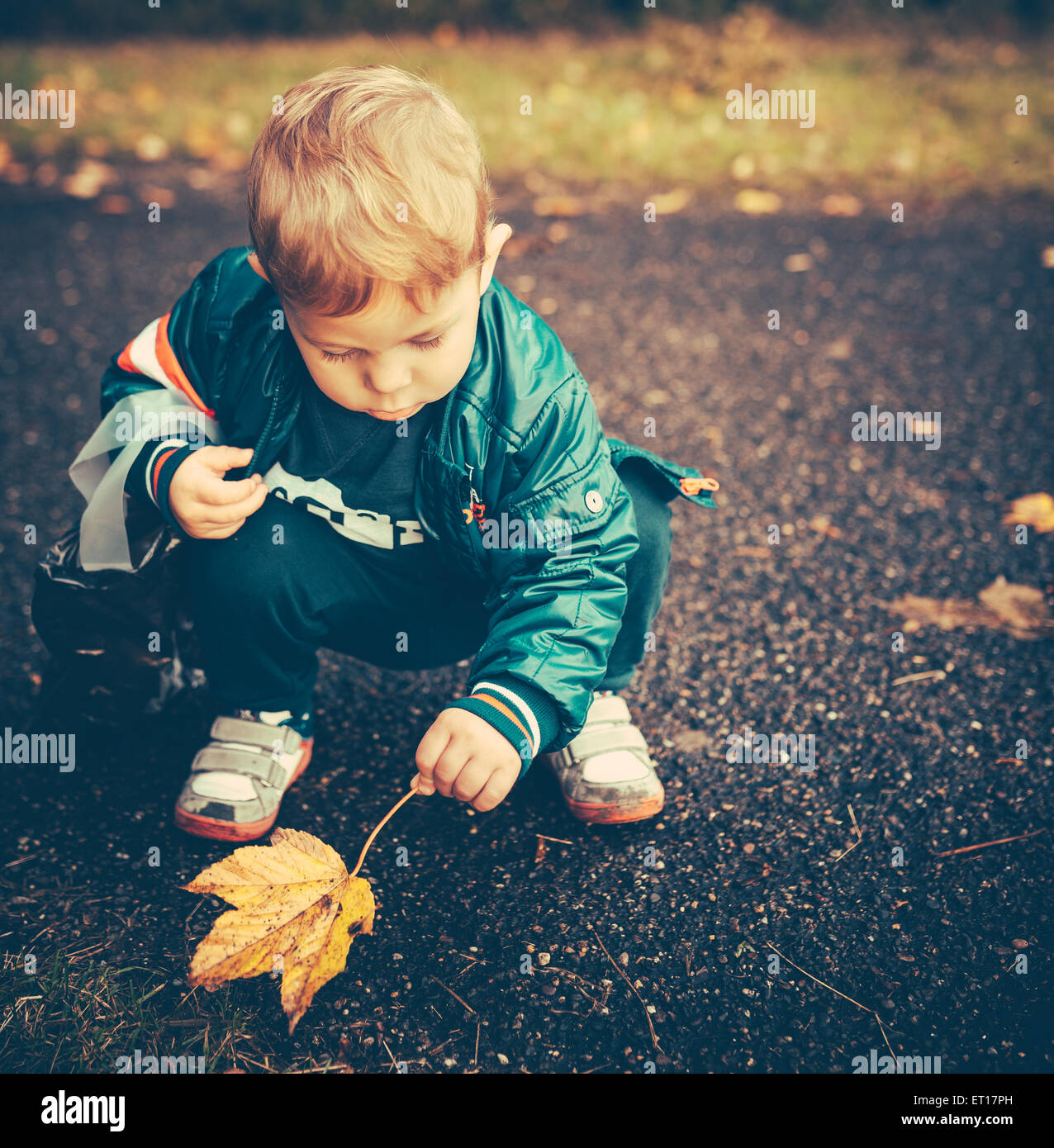 Enfant Bébé joue à l'extérieur à l'automne. Il a trouvé une feuille. Il y a de l'espace pour votre propre texte. Banque D'Images