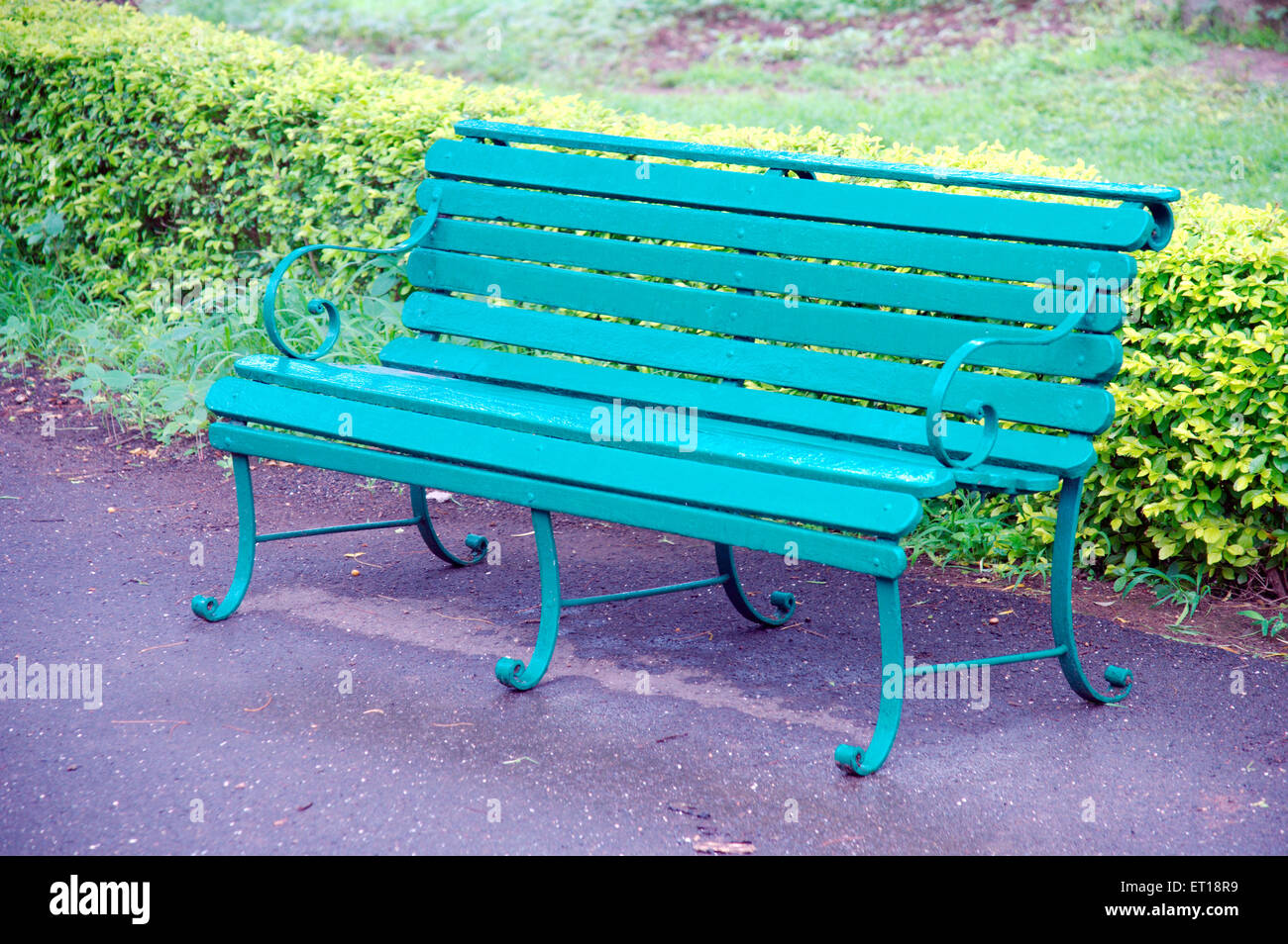 banc en bois vert dans le jardin Banque D'Images