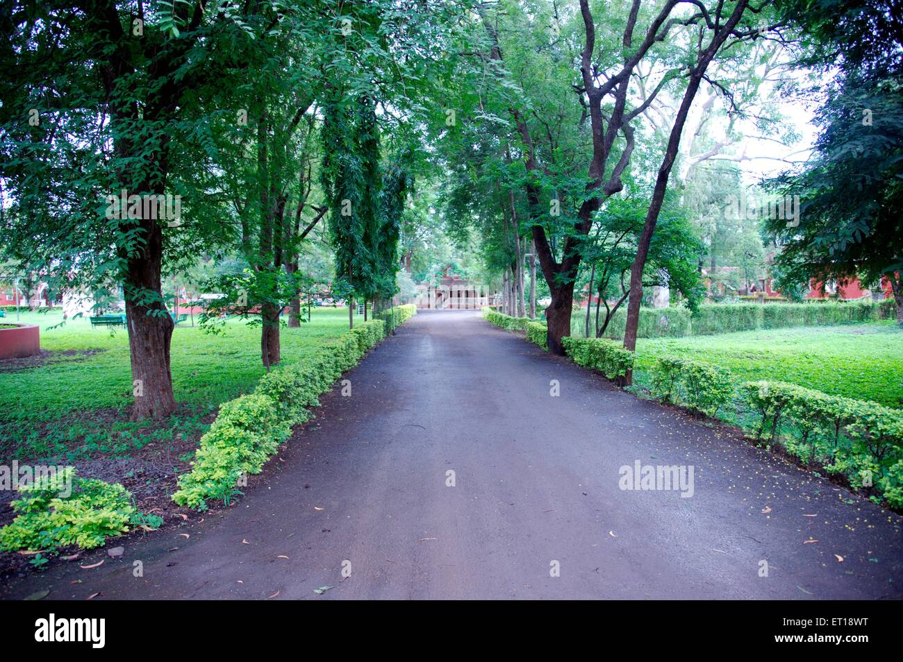 Chemin de jardin arbres Nasik Nashik Maharashtra Inde Asie Banque D'Images