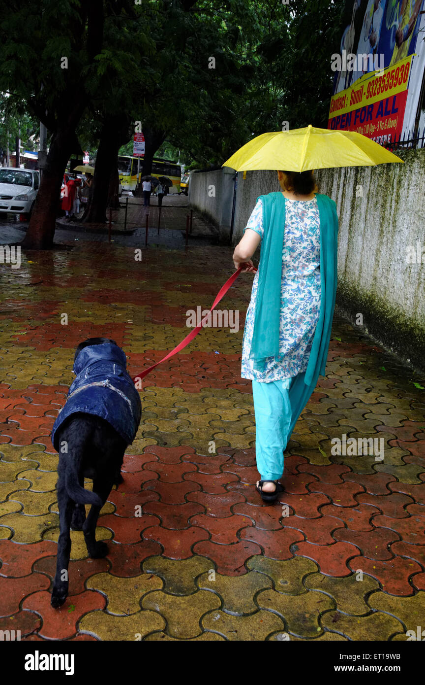 Woman walking dog en pluies de mousson en Inde M.# 364 Banque D'Images