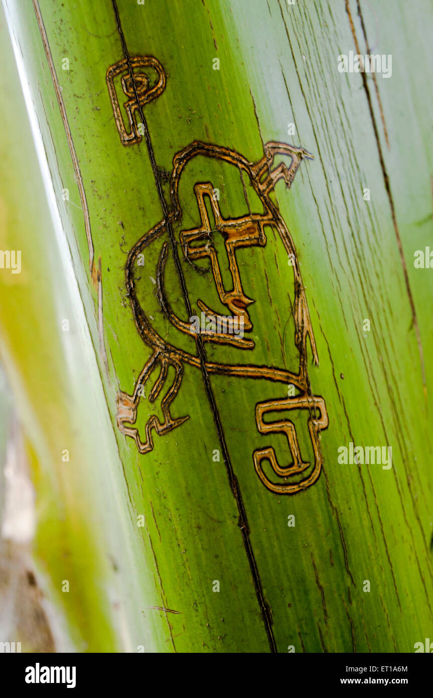 L'amour signe sur tronc d'arbre d'Asie Inde Banque D'Images