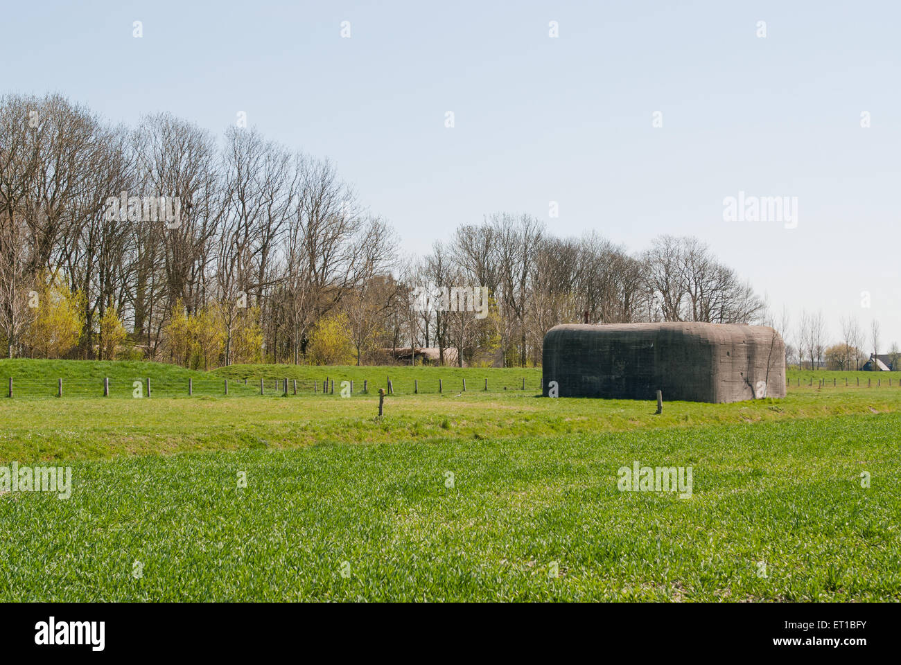 Bunkers allemands du type 501 à partir de la DEUXIÈME GUERRE MONDIALE dans farmfield aux Pays-Bas près de Breskens Banque D'Images