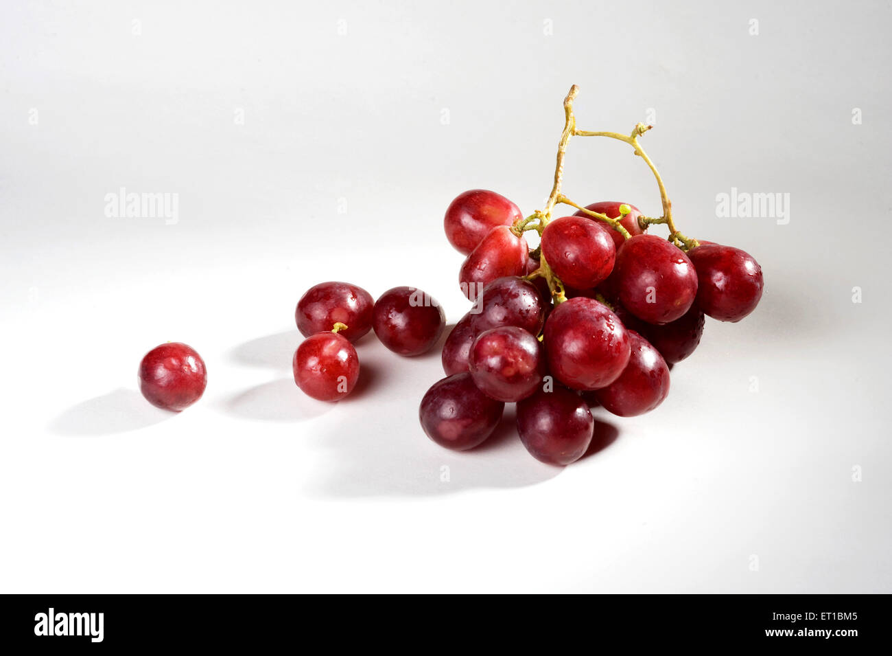 Fruits ; goutte d'eau sur une bande de raisins rouges sur fond blanc Banque D'Images