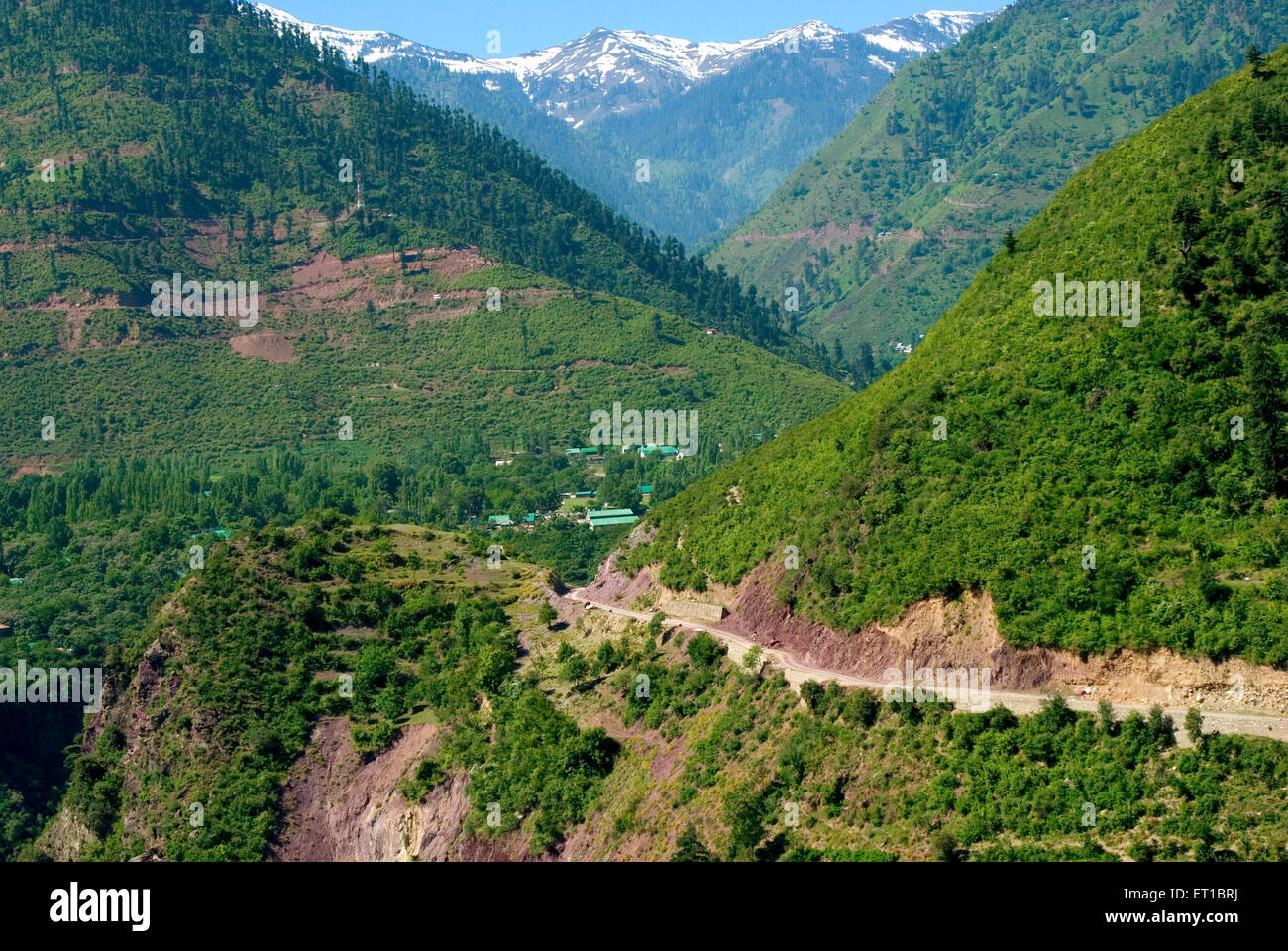 Belle scène de vert et les montagnes de neige Gulmarg Srinagar, Jammu-et-Cachemire Inde Asie Banque D'Images