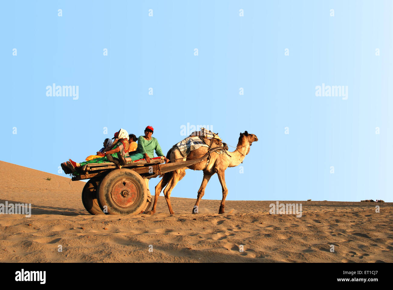 Les touristes en safari chameau panier ; Khuhri ; ; ; Inde Rajasthan Jaisalmer Banque D'Images