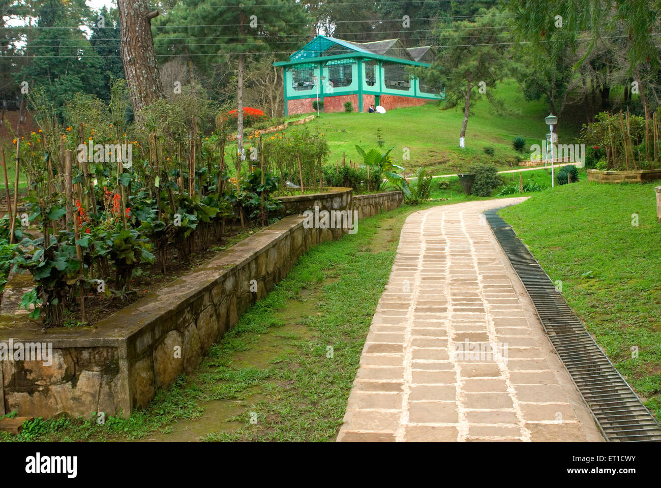 Dans le jardin Ward Lake ; ; ; Inde Meghalaya Shillong Banque D'Images