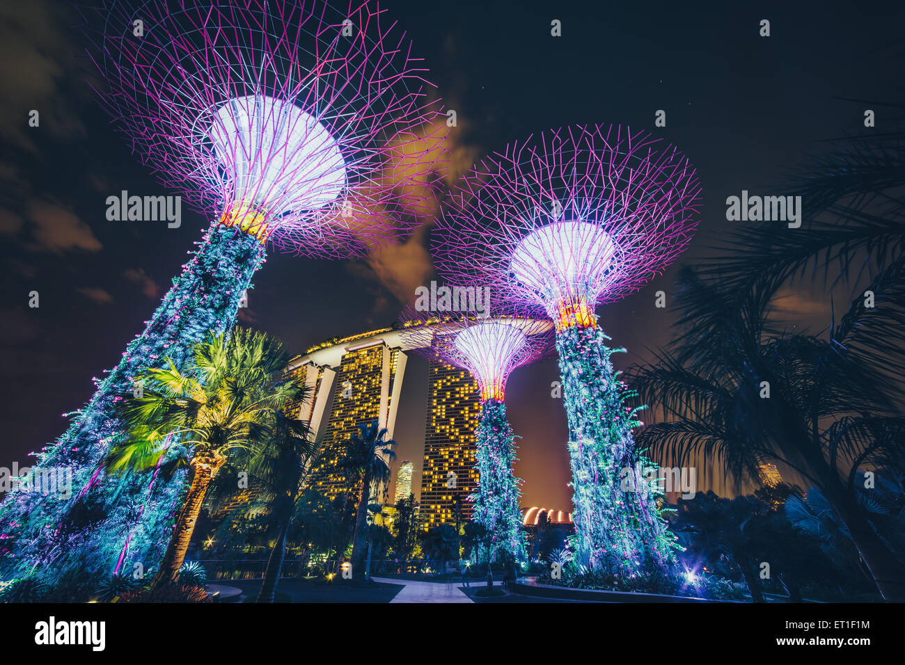 Vue sur Marina Bay Sands du Supertree Grove dans les jardins de la baie. S'étendant sur 101 hectares de terrains à Singapour Banque D'Images