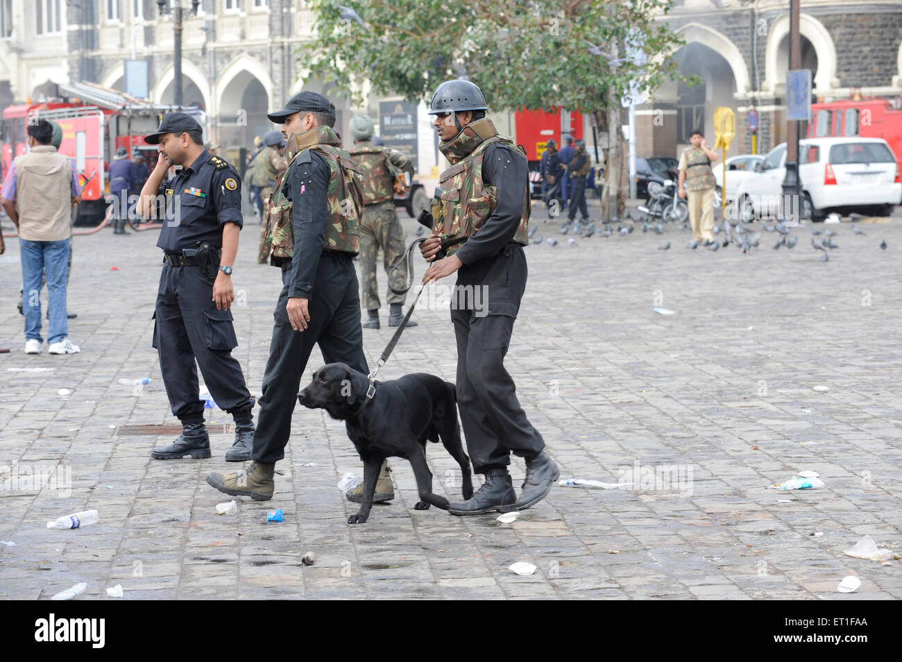 Garde de sécurité nationale commandos NSG chien renifleur Taj Mahal Hotel Deccan attaque terroriste ; 26 novembre 2008 à Bombay Banque D'Images