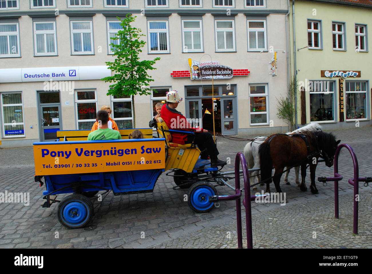 Pony conduit panier transportant les gens ; Allemagne Banque D'Images