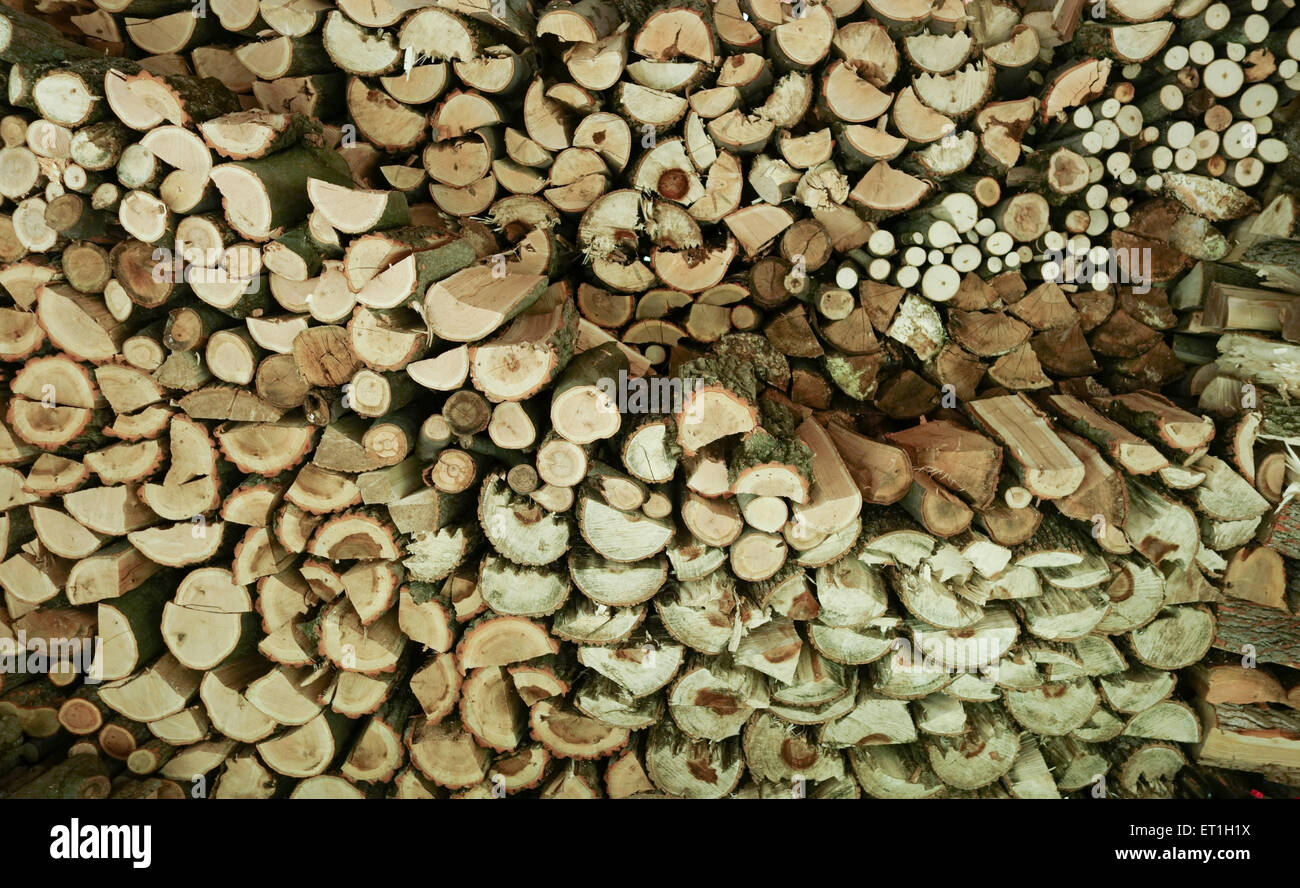 Le stockage de bois, bois de chauffage Cheminée pour l'hiver. USA. Banque D'Images