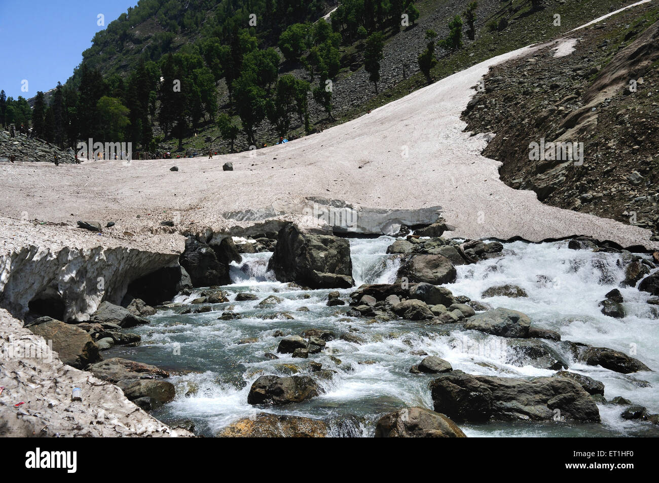 Glacier en fusion, Cachemire, Jammu-et-Cachemire, territoire de l'Union, UT,Inde, Asie, Asie, Indien Banque D'Images