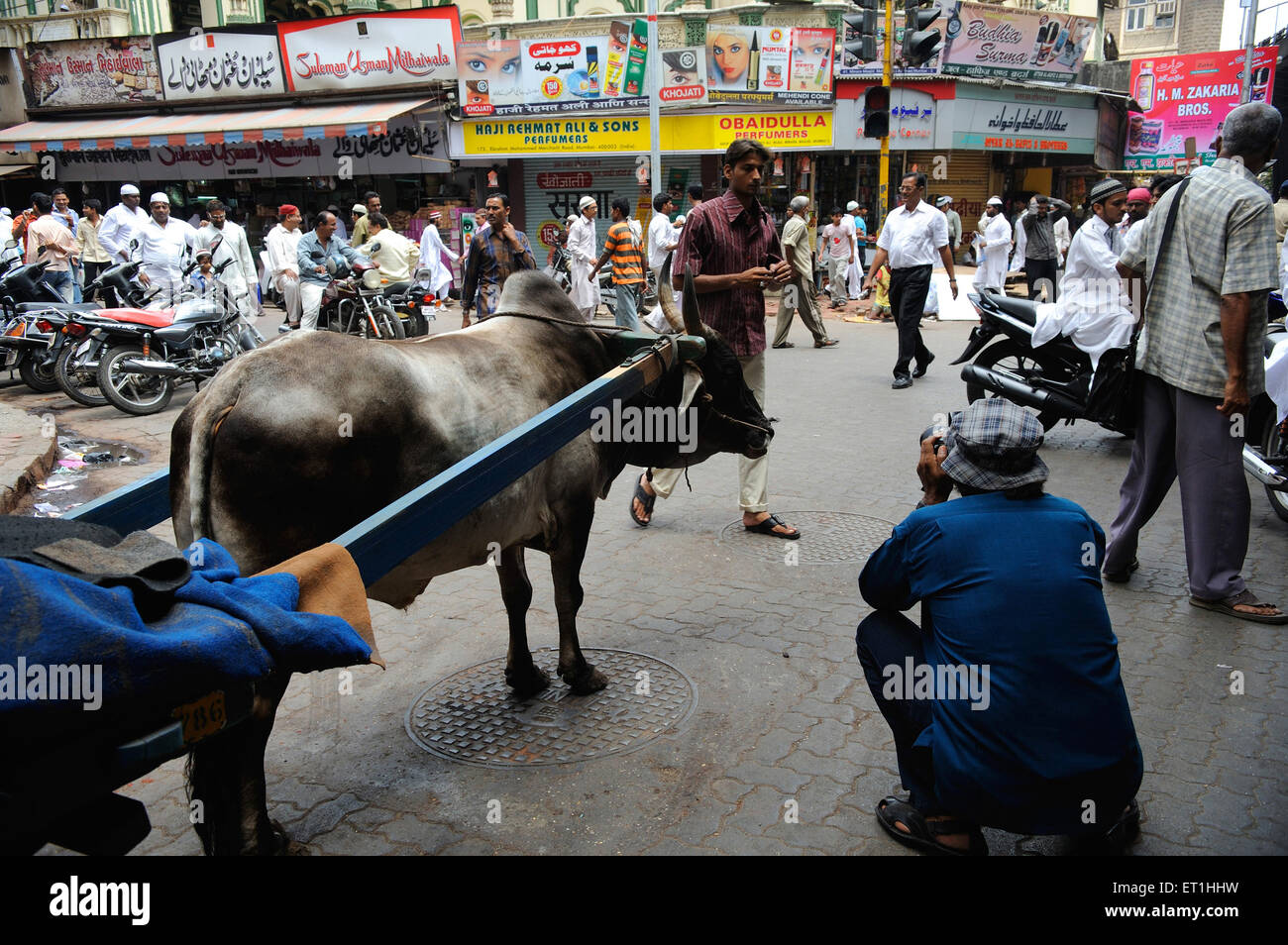 Raghu Rai photographe tournage dans la rue, Bombay, Mumbai, Maharashtra, Inde, Asie Banque D'Images