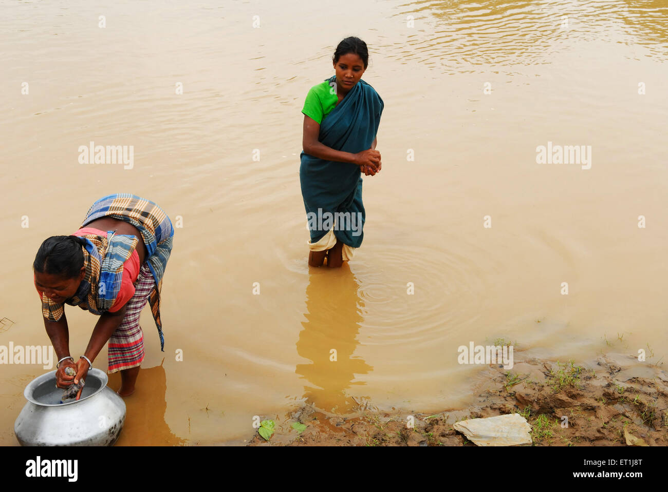 Femmes lavant des vêtements dans la rivière, la tribu Ho, les gens tribaux, Chakradharpur, Singhbhum Ouest, Jharkhet, Inde, Asie Banque D'Images