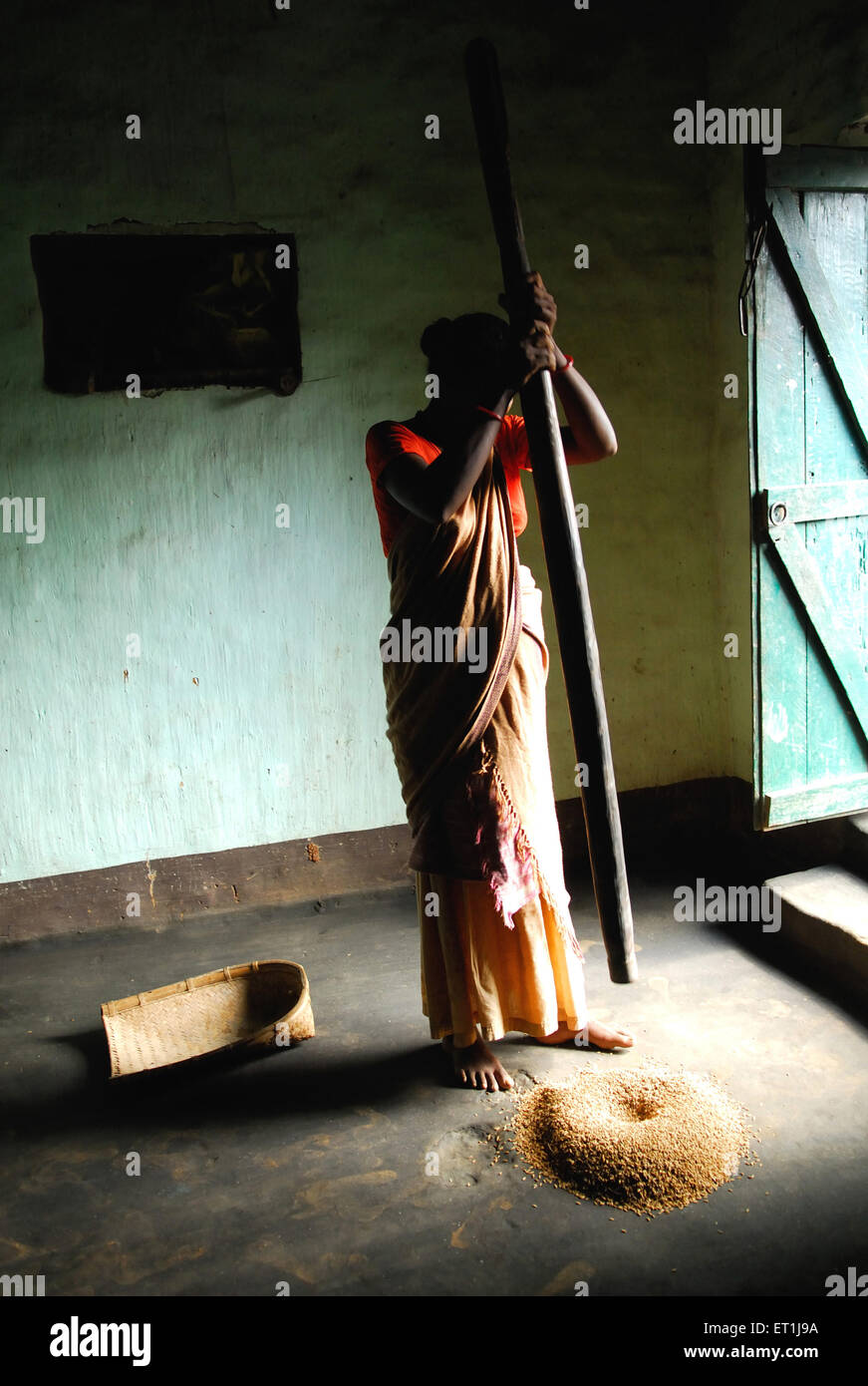 Femme écrasant des grains, tribu Ho, peuple tribal, Chakradharpur, Singhbhum Ouest, Jharkhet, Inde, Asie Banque D'Images