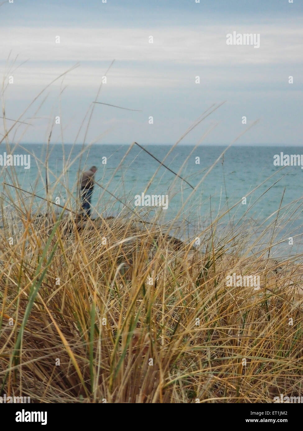 Personne debout sur un rocher plage jetée vue à travers l'herbe avec de l'eau à horizon lointain. orientation verticale. Banque D'Images