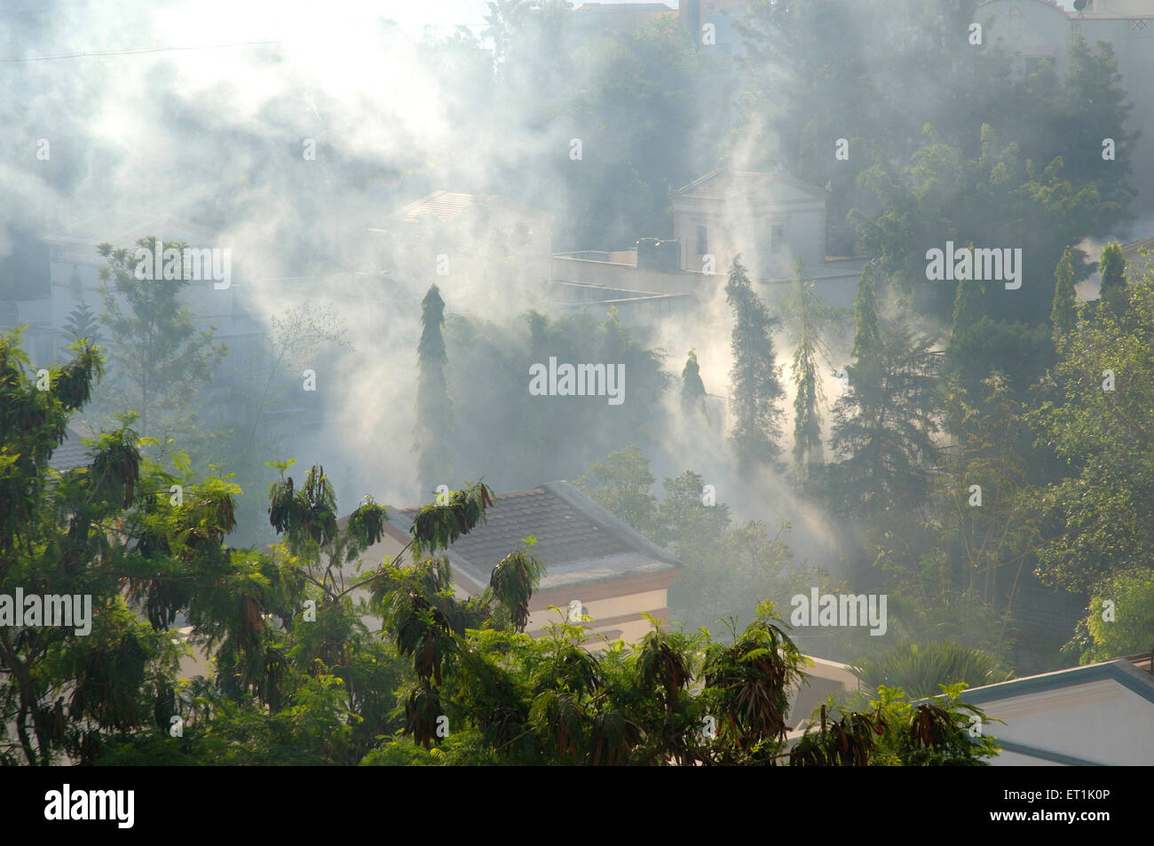 Brume brumeuse du matin ; Pune ; Maharashtra ; Inde Banque D'Images
