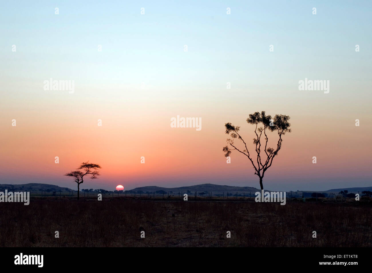 Paysage lever de Maharashtra Inde Asie Banque D'Images