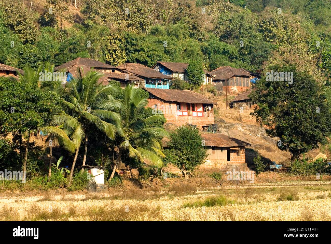 Village indien ; Anjarle ; Dapoli taluka ; district de Ratnagiri ; Maharashtra ;Inde Banque D'Images