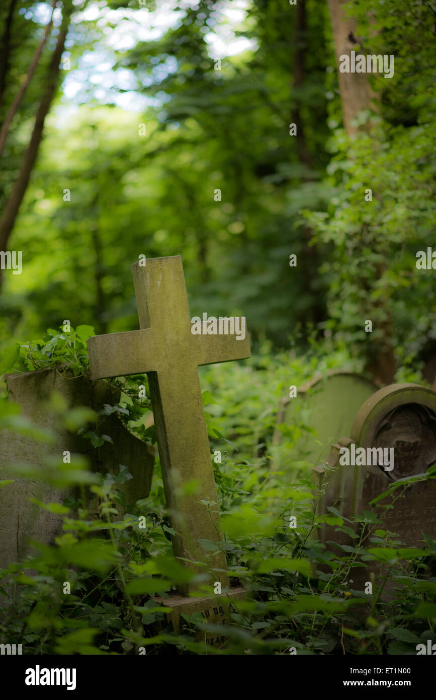 Les pierres tombales dans Abney Park Cemetery, Londres Banque D'Images