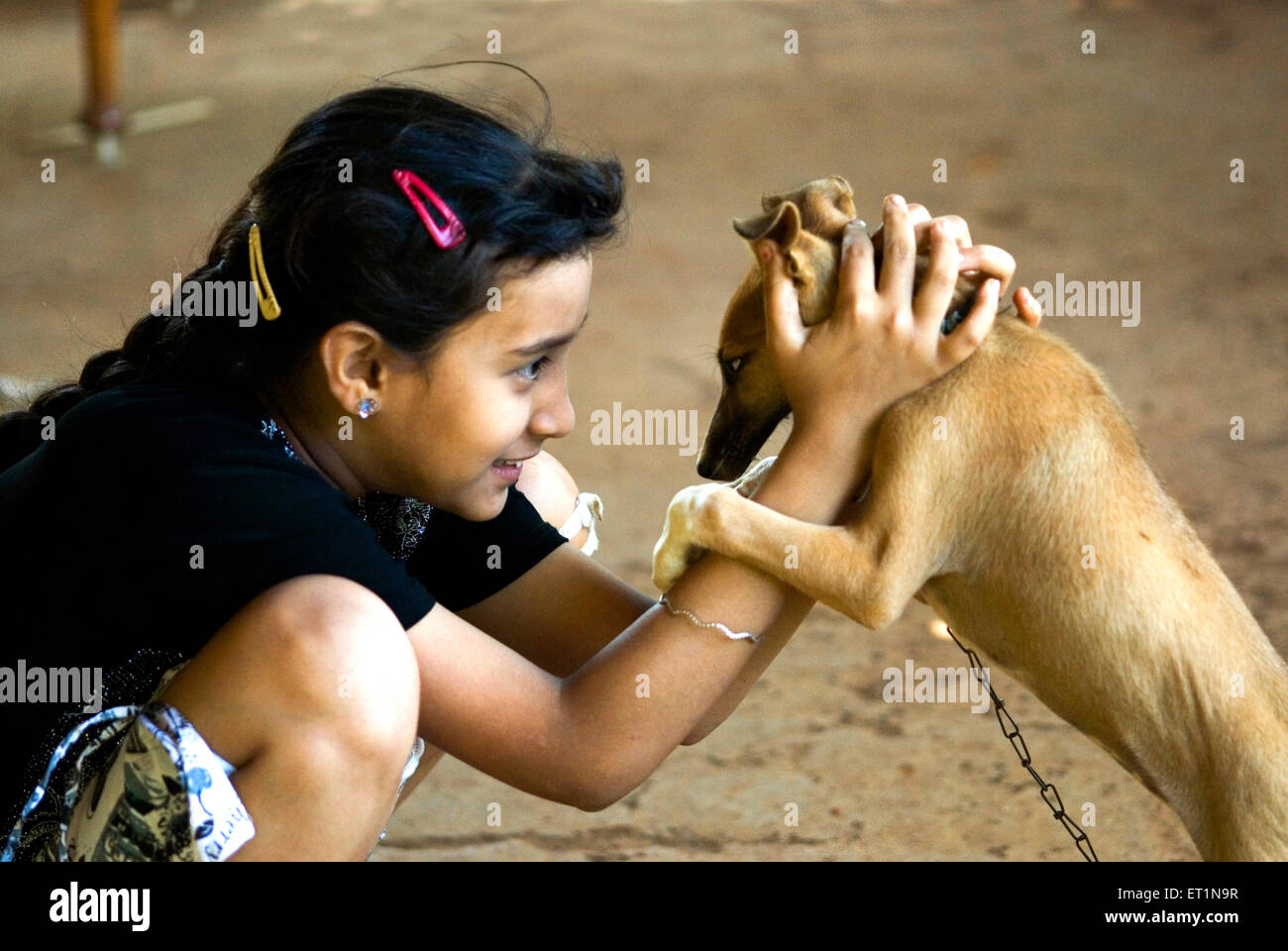 Jeune fille et un chiot petit chien en jouant humeur M.# 556 Banque D'Images