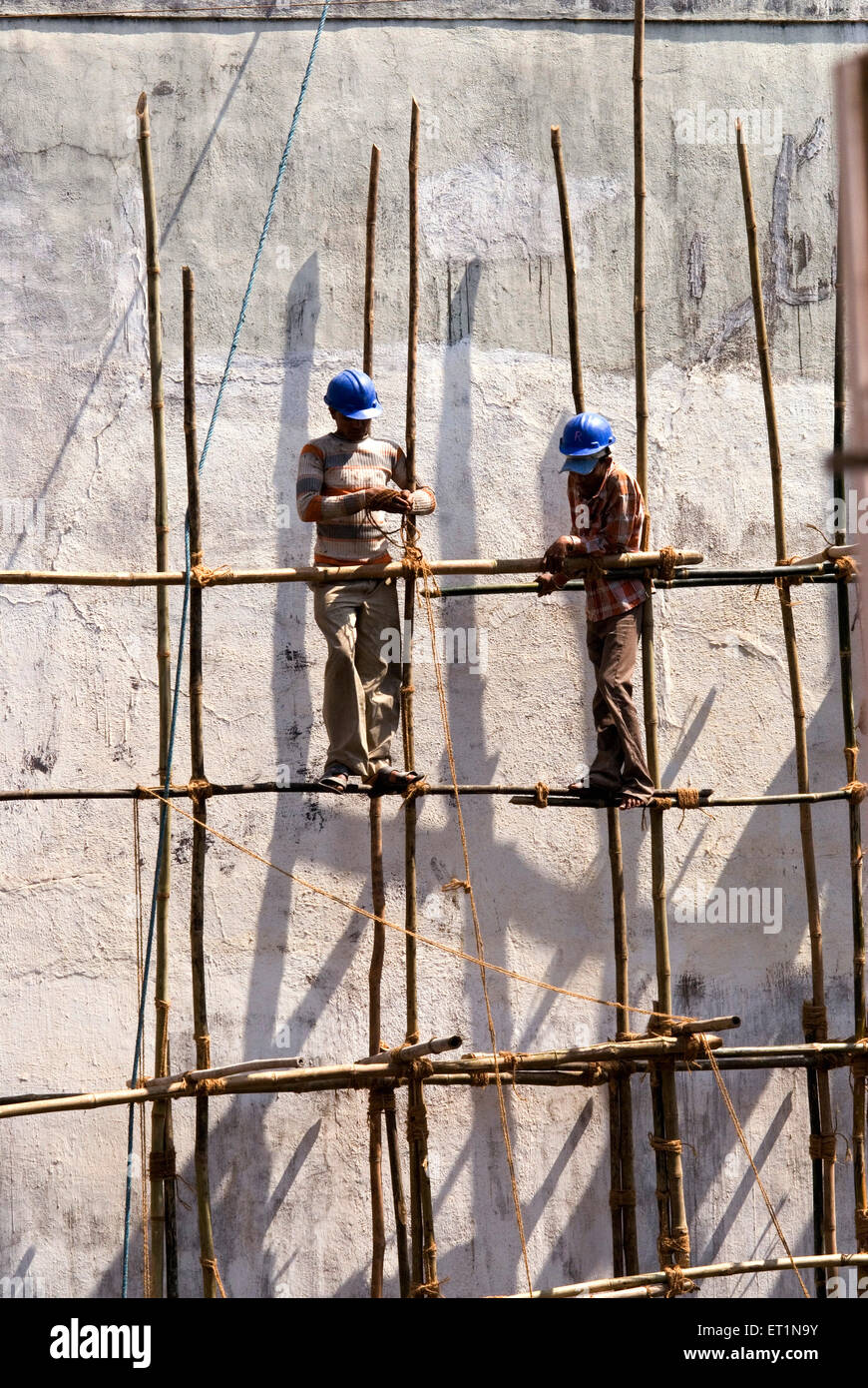 Les travailleurs de la construction les bambous de liage avec corde Banque D'Images