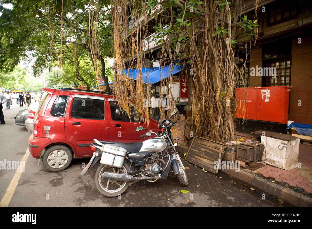 Vélo et voiture garée sous le Banyan Tree Bombay Mumbai Maharashtra Inde Banque D'Images