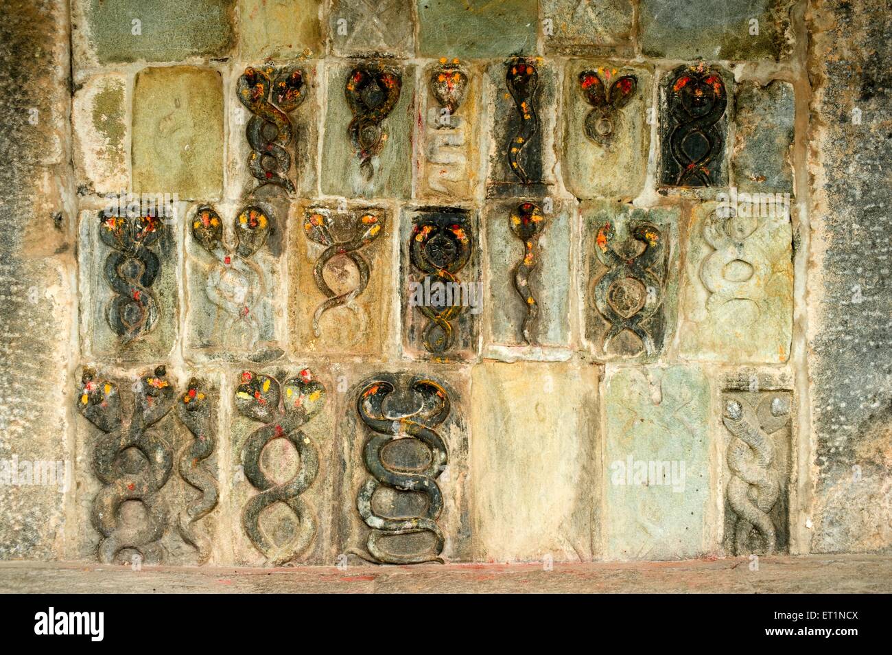 Dieu Serpent sur le mur de chennakesava temple Belur ; ; ; ; Inde Karnataka Hassan Banque D'Images