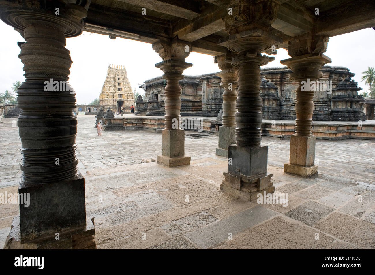 Temple de Chennakeshava, Temple de Keshava, Temple de Kesava, Temple de Vijayanarayana, Belur,Hassan, Karnataka, Inde, Asie Banque D'Images