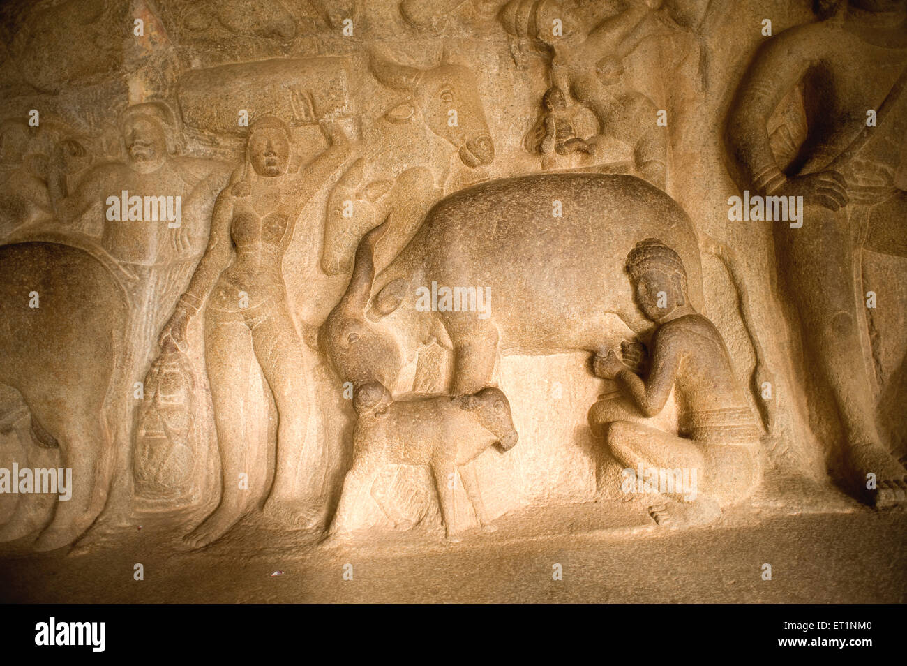 Sculptures dans pancha pandava mandapa Mamallapuram Mahabalipuram ; ; ; Tamil Nadu Inde Banque D'Images