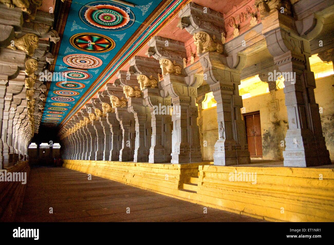 Les corridors et les piliers sculptés de rameshwaram temple ; Tamil Nadu Inde ; Banque D'Images