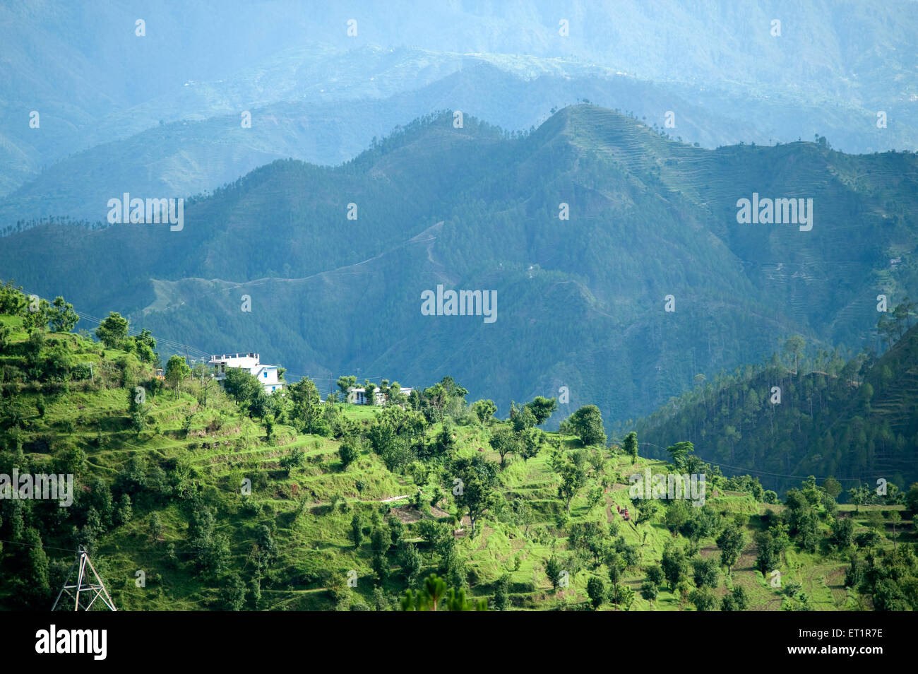 Paysage, vallée, Uttarakhand, Inde, Asie Banque D'Images