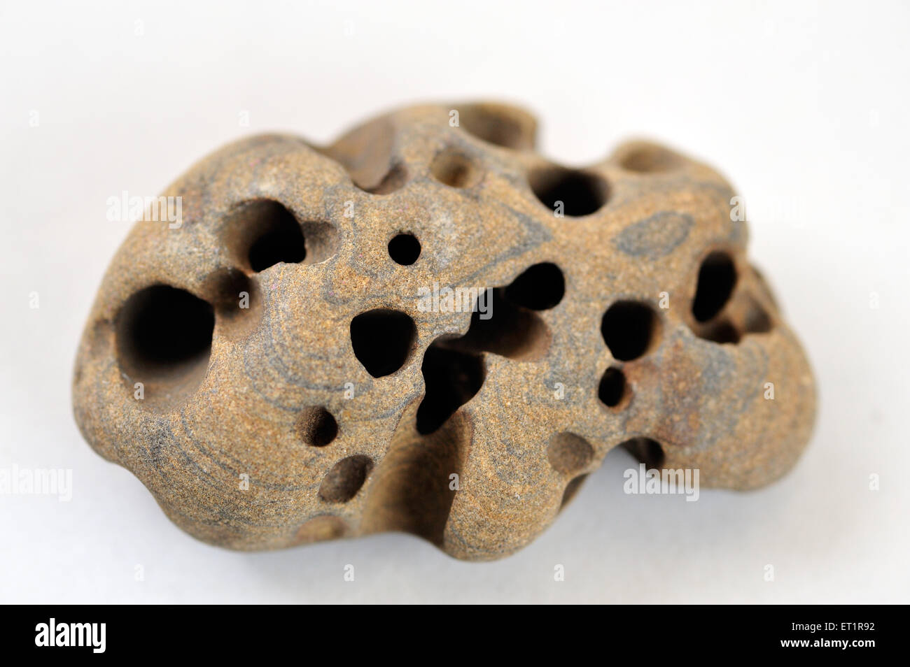 pierre de forme de crâne, pierre avec cavité, pierre avec trou, Banque D'Images