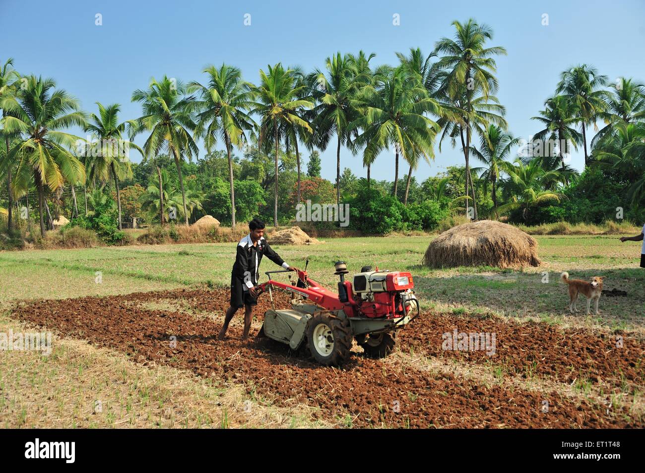 Labourage de machines agricoles, Sindhudurg, Konkan, Maharashtra, Inde,Asie, Asie, Indien Banque D'Images