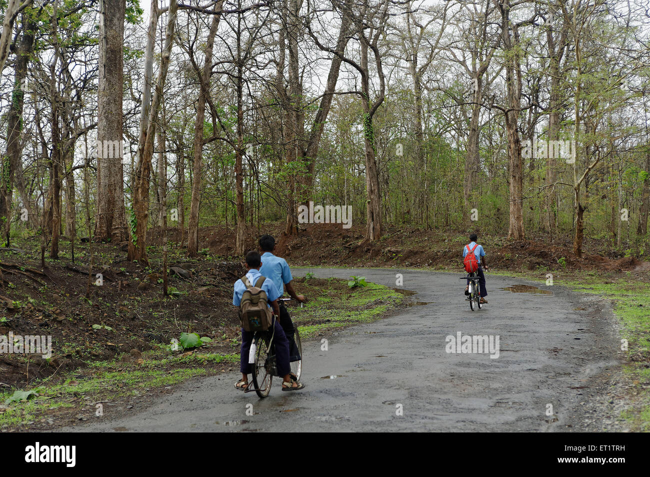 Les élèves passant à travers forêt à dandeli Asie Inde karnataka Banque D'Images