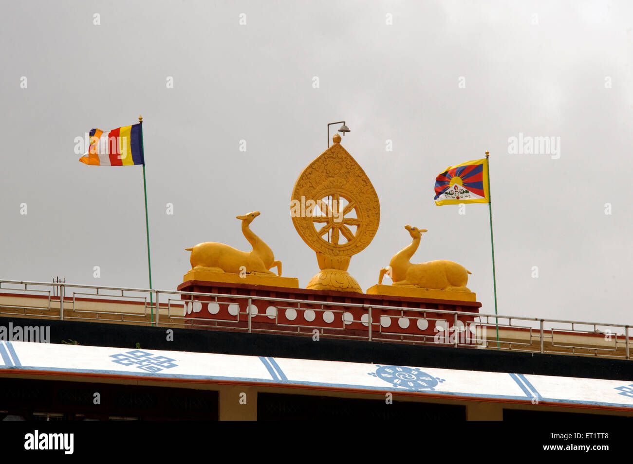 Symboles de la Roue du Dharma Bouddhiste et les cerfs au monastère de Gaden Shar en Asie Inde Karnataka Banque D'Images