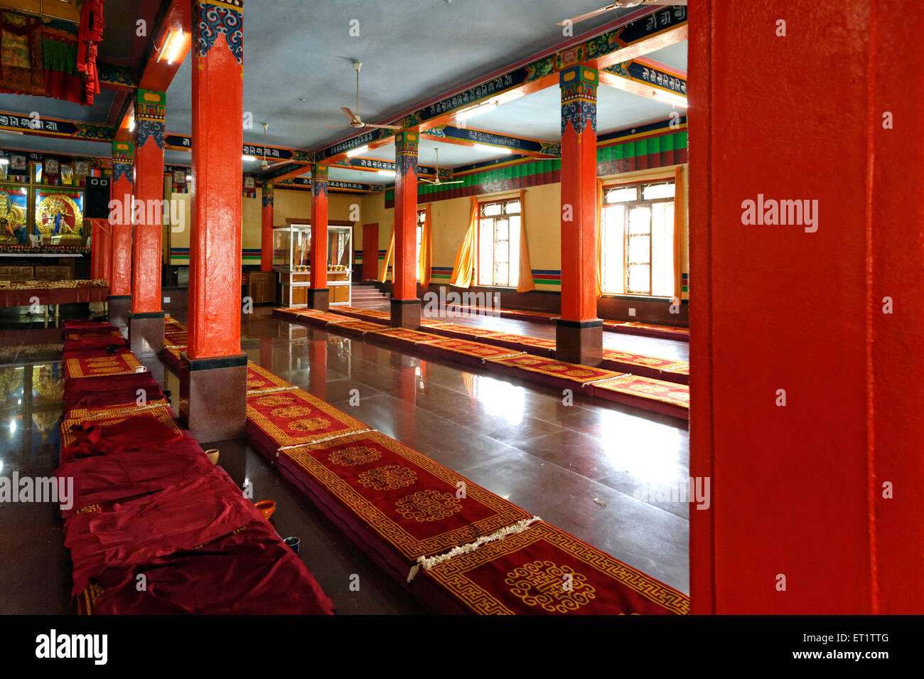 Salle de prière Shar monastère de Gaden à Mundgod au Karnataka Inde Asie Banque D'Images