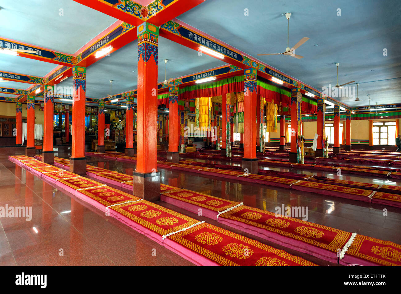 Salle de prière Shar monastère de Gaden à Mundgod au Karnataka Inde Asie Banque D'Images
