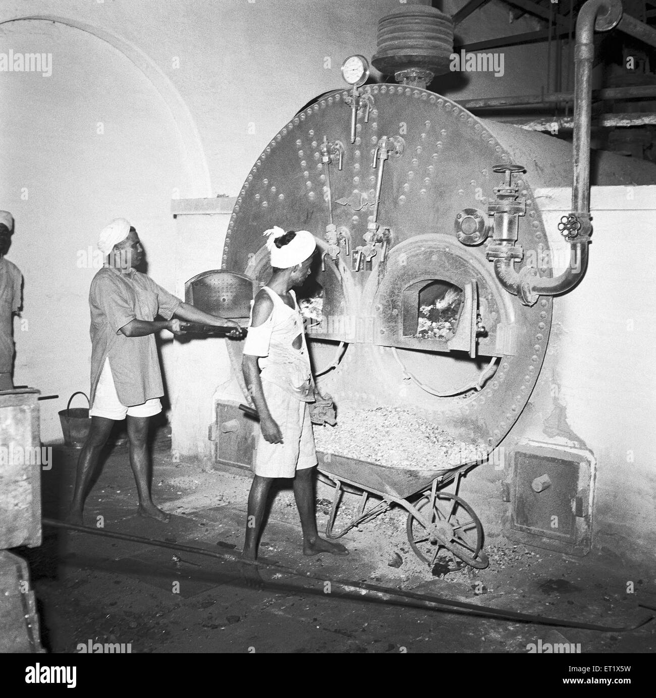 Année 1953 ; les chaudières à vapeur à générer une distillation de l'huile ; l'huile de santal Mysore ; usine d'extraction ; Karnataka Banque D'Images