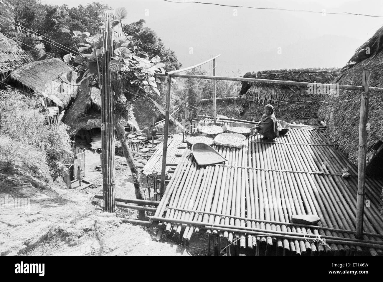 Tribu Nocte dans le district de Tirap séchage de légumes sur plate-forme de bambou ; Arunachal Pradesh ; Inde ; Asie ; ancienne image millésime 1900 Banque D'Images