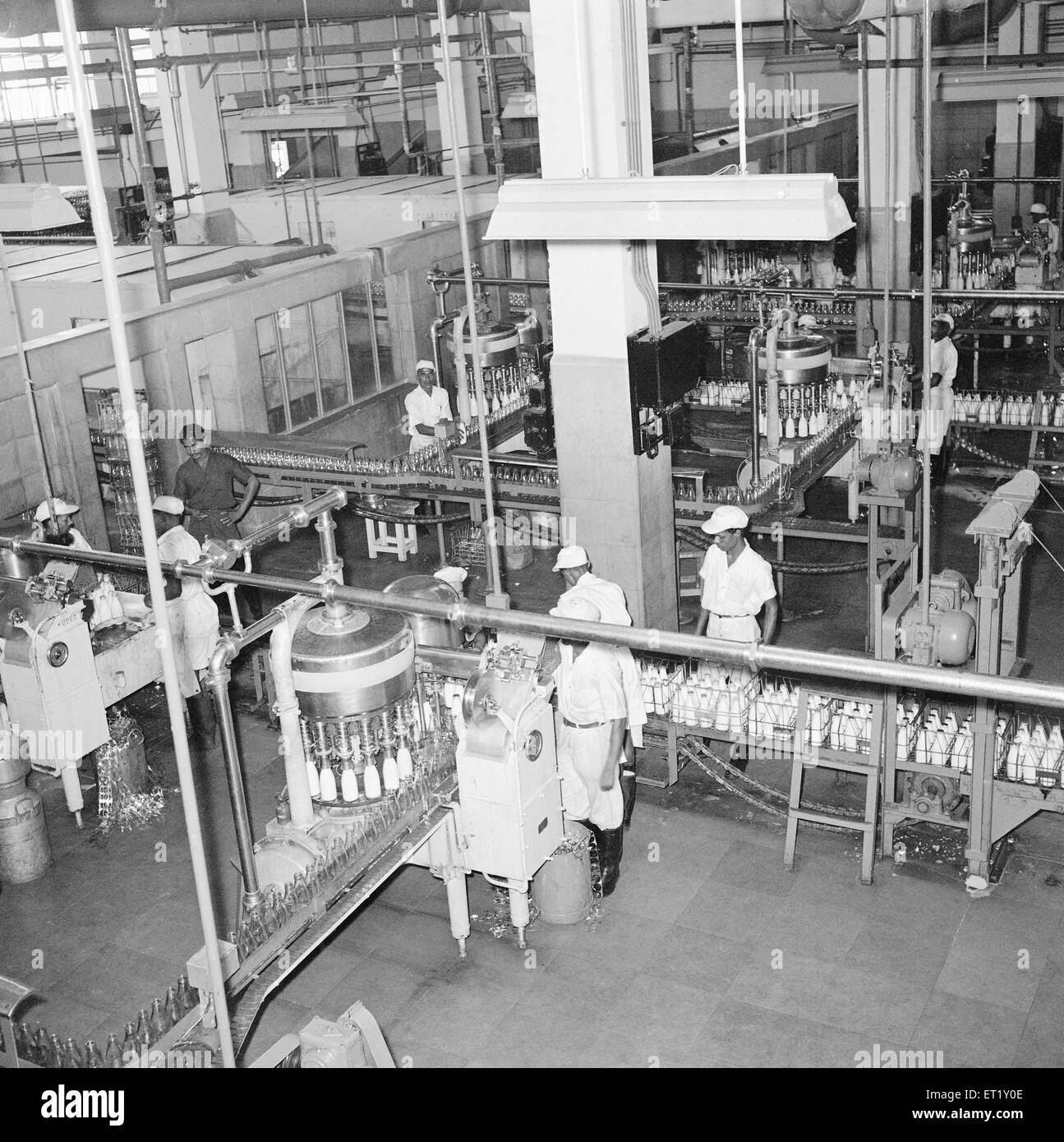 Bouteilles de lait se préparer à l'expédition ; usine de lait ; Aarey ; Bombay maintenant Mumbai ; Maharashtra ; Inde ; Asie ; ancien millésime 1900 Banque D'Images