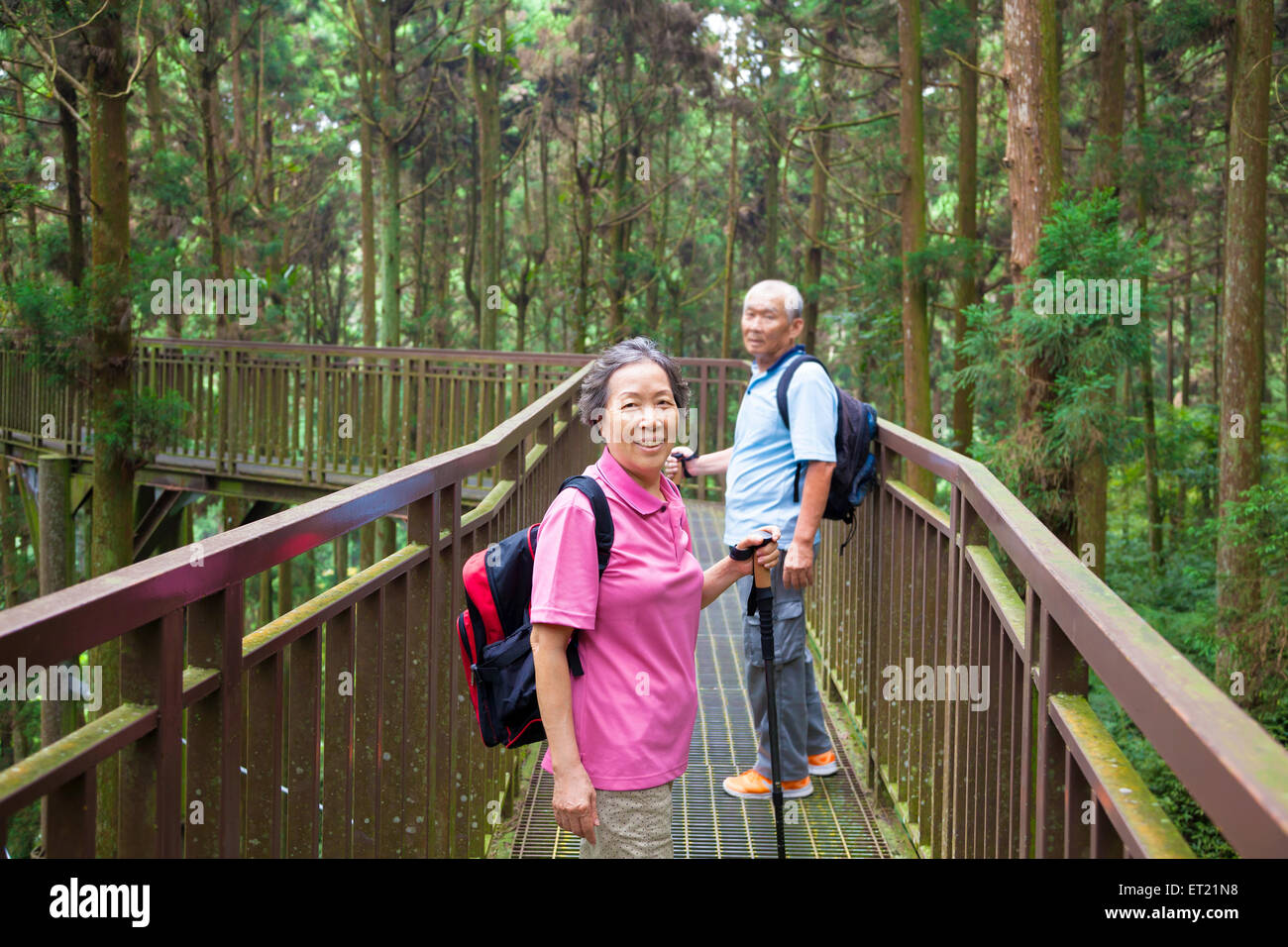 Happy randonnées dans le parc de la forêt Banque D'Images