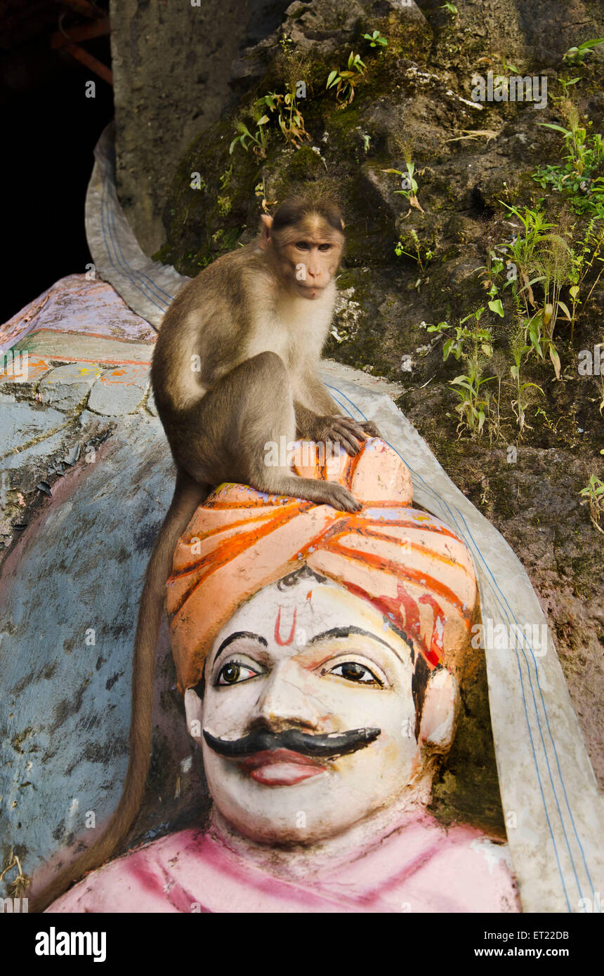 Bonnet macaque assis sur la tête de la statue de l'Asie l'Inde Maharashtra Mumbai Banque D'Images