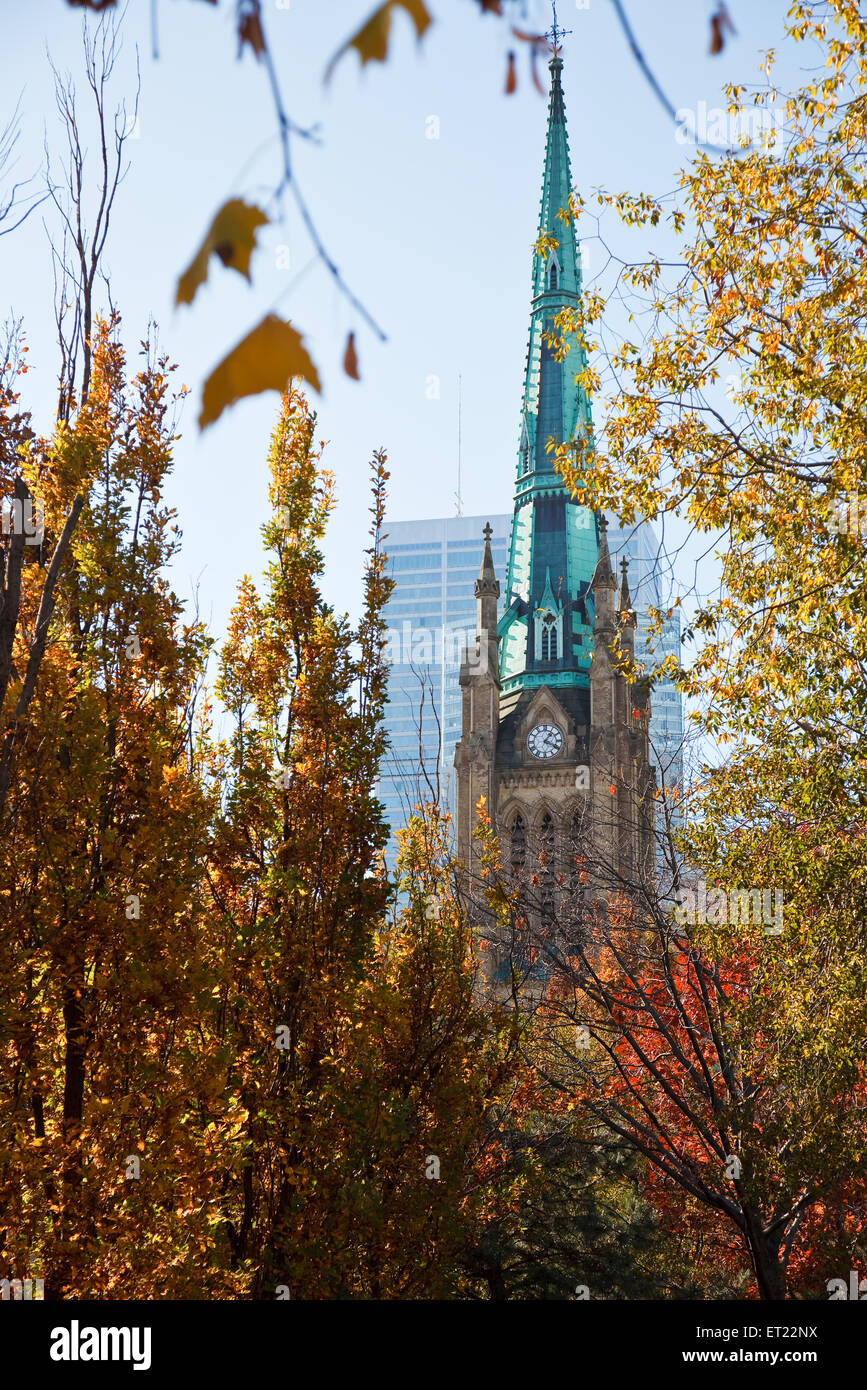 Flèche de la cathédrale St.James, encadré par Golden Autumn Leaves. Le centre-ville de Toronto, Canada Banque D'Images