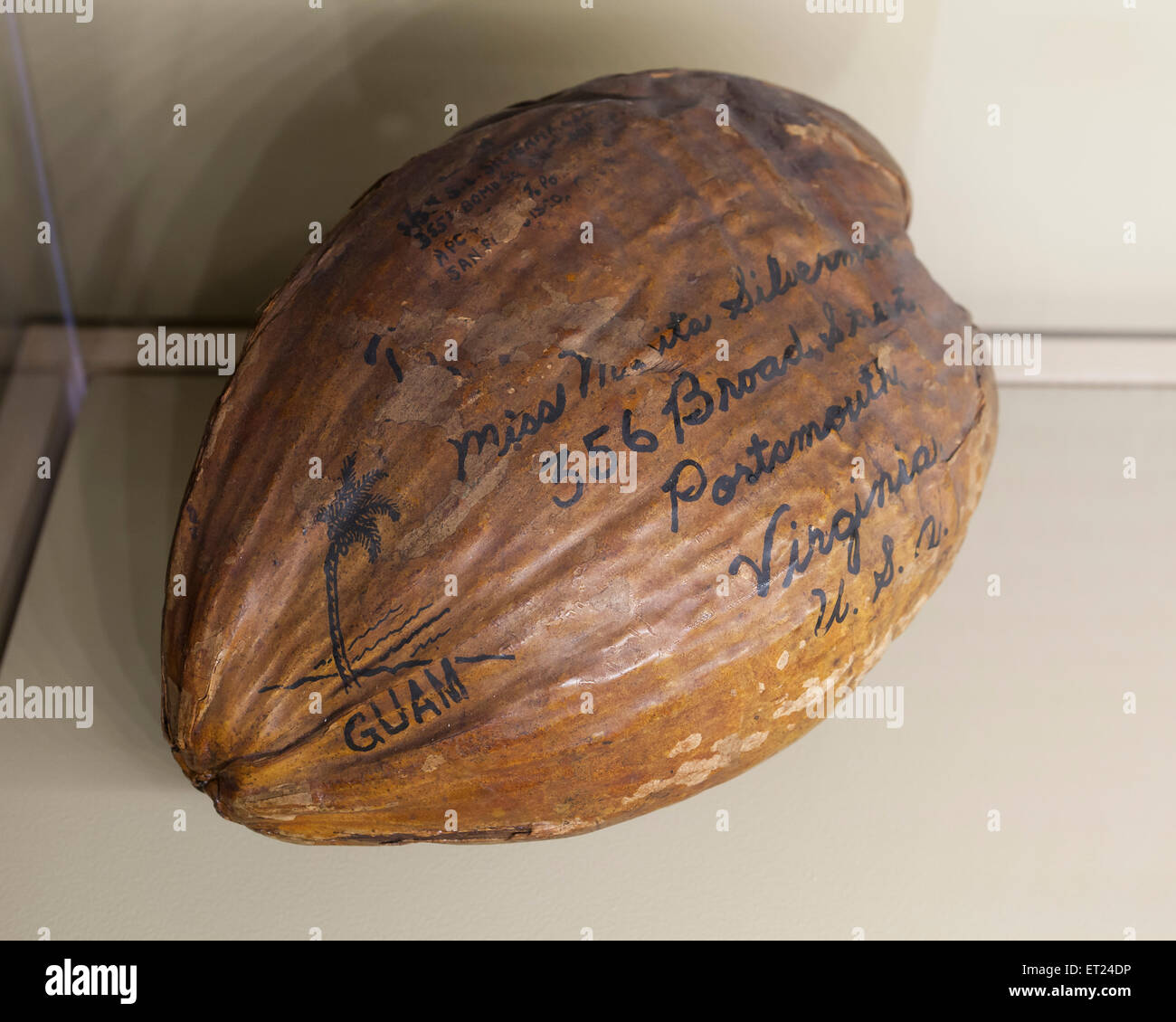 Coconut envoyé de Guam pour Virginie par US Postal Service - USA Banque D'Images