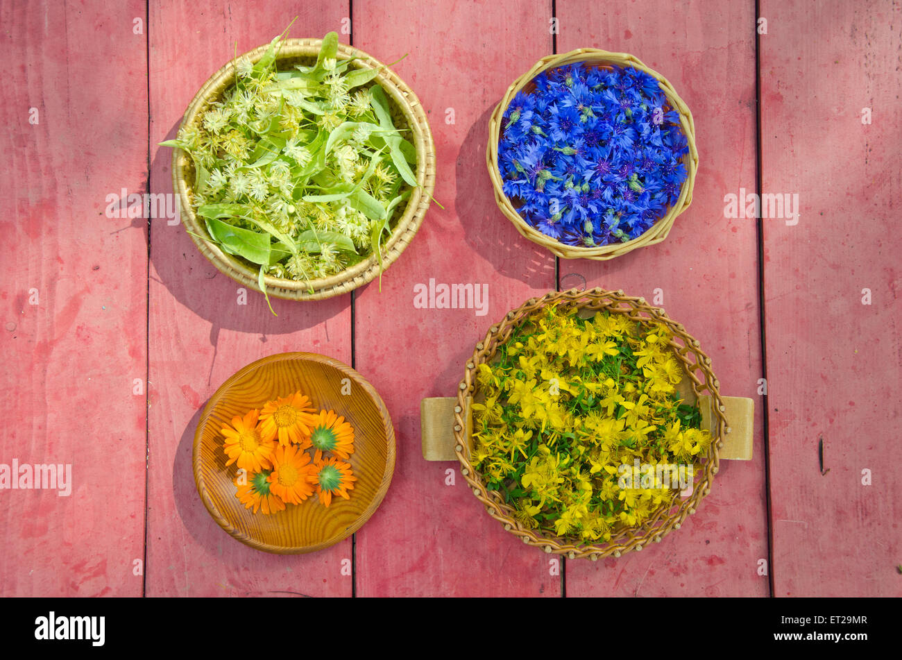 Songe d'époque diverses plantes médicinales fleurs dans des paniers en osier sur la table de jardin Banque D'Images